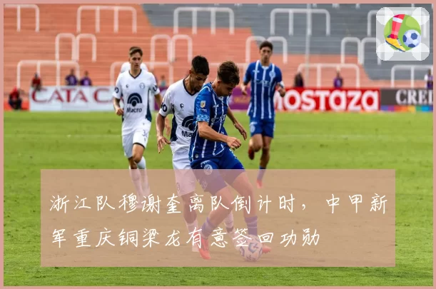 浙江队穆谢奎离队倒计时,中甲新军重庆铜梁龙有意签回功勋