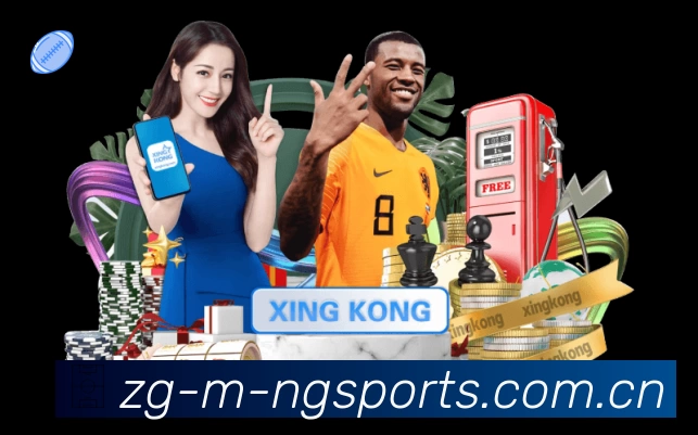 关于 NG体育